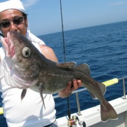 Aquanaut（アクアノート） 釣果