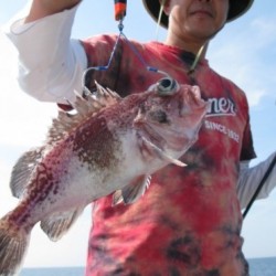 Aquanaut（アクアノート） 釣果