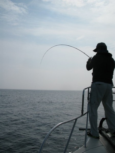 Aquanaut（アクアノート） 釣果