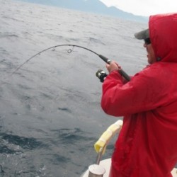 Aquanaut（アクアノート） 釣果