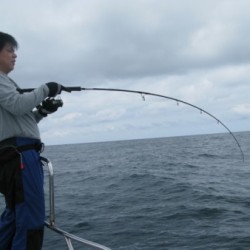 Aquanaut（アクアノート） 釣果