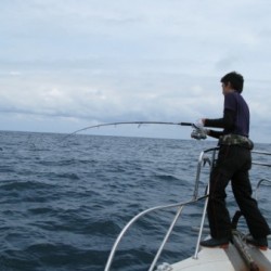 Aquanaut（アクアノート） 釣果