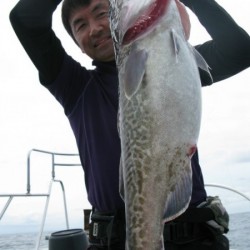 Aquanaut（アクアノート） 釣果