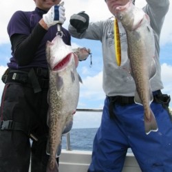 Aquanaut（アクアノート） 釣果