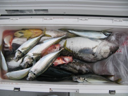 Aquanaut（アクアノート） 釣果