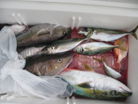 Aquanaut（アクアノート） 釣果