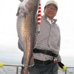 Aquanaut（アクアノート） 釣果