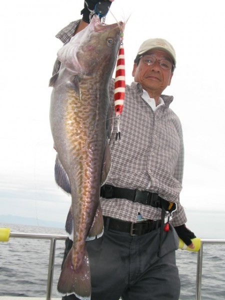 Aquanaut（アクアノート） 釣果