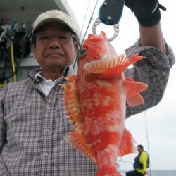 Aquanaut（アクアノート） 釣果