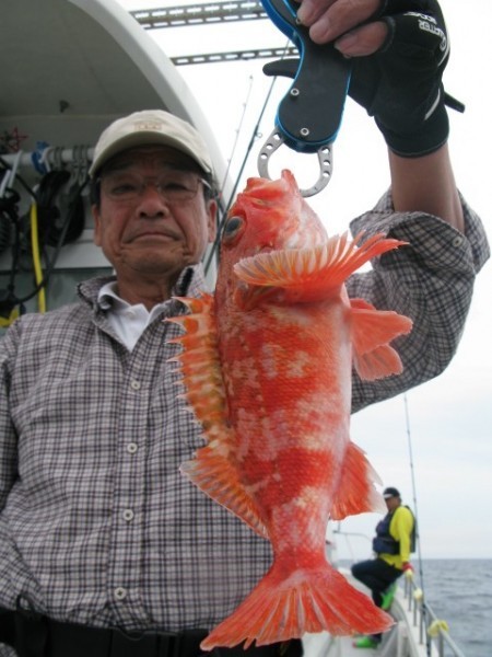 Aquanaut（アクアノート） 釣果