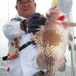 Aquanaut（アクアノート） 釣果