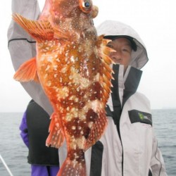 Aquanaut（アクアノート） 釣果