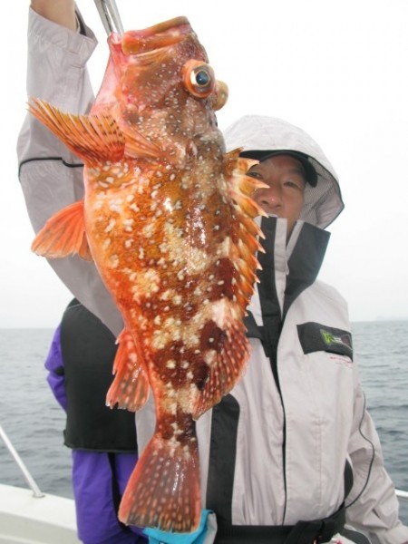 Aquanaut（アクアノート） 釣果