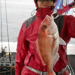 鯛多ニック 釣果