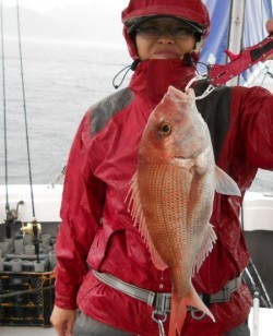 鯛多ニック 釣果
