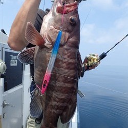 IZANAGI　イザナギ 釣果