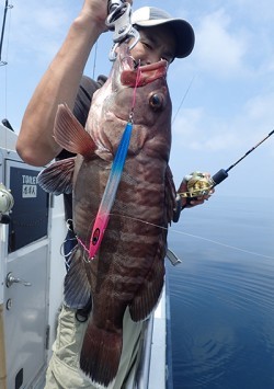 IZANAGI　イザナギ 釣果