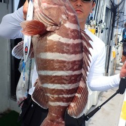 IZANAGI　イザナギ 釣果