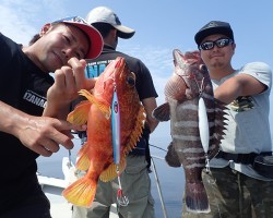 IZANAGI　イザナギ 釣果