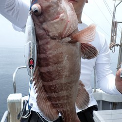 IZANAGI　イザナギ 釣果