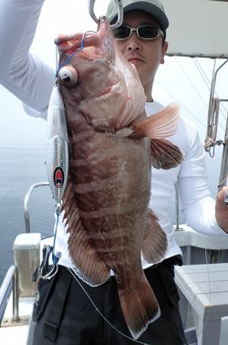 IZANAGI　イザナギ 釣果