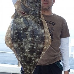 IZANAGI　イザナギ 釣果