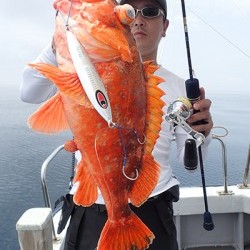 IZANAGI　イザナギ 釣果