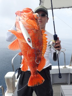 IZANAGI　イザナギ 釣果