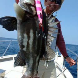 IZANAGI　イザナギ 釣果