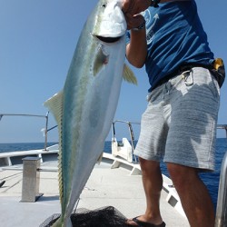 IZANAGI　イザナギ 釣果