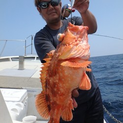 IZANAGI　イザナギ 釣果