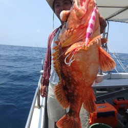 IZANAGI　イザナギ 釣果