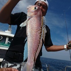 IZANAGI　イザナギ 釣果