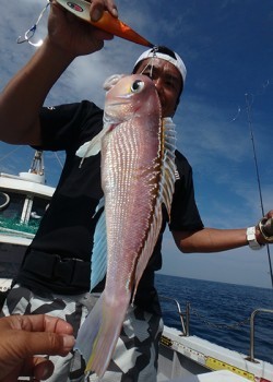 IZANAGI　イザナギ 釣果