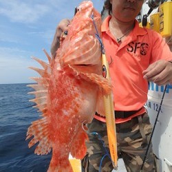 IZANAGI　イザナギ 釣果