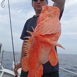 IZANAGI　イザナギ 釣果