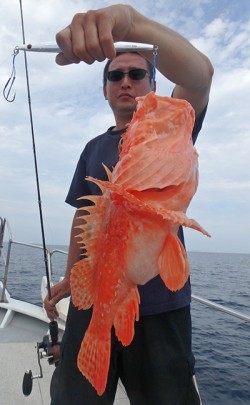 IZANAGI　イザナギ 釣果