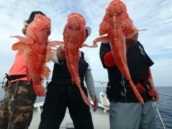 IZANAGI　イザナギ 釣果