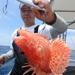 IZANAGI　イザナギ 釣果