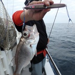 IZANAGI　イザナギ 釣果