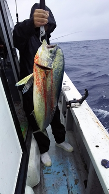 なぎさ丸 釣果