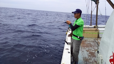 なぎさ丸 釣果