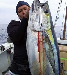 なぎさ丸 釣果