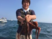 シーマジカル 釣果