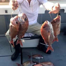 さんさん丸 釣果