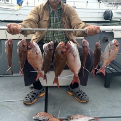 さんさん丸 釣果