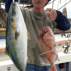 さんさん丸 釣果