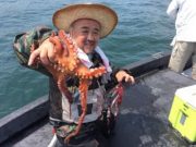 シーマジカル 釣果