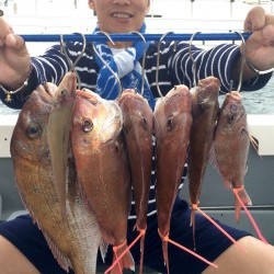 さんさん丸 釣果