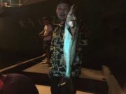 シーマジカル 釣果